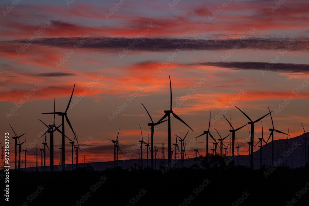 Wind farm at sunset Wind farm at sunset