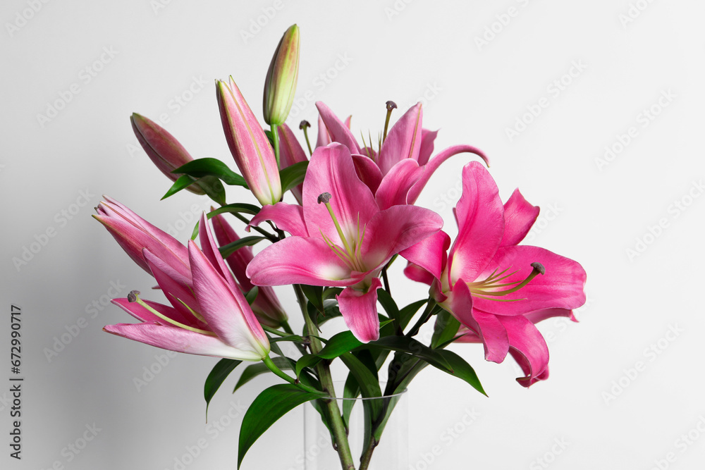 Beautiful pink lily flowers in vase on white background