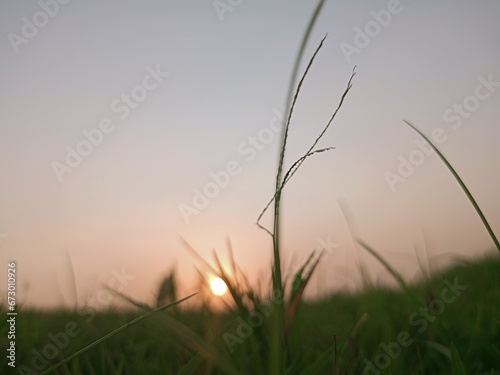 Background grass and sky Grass Wallpaper 4k Grass · Beautiful HD wallpapers & backgrounds, flower and landscape photos,