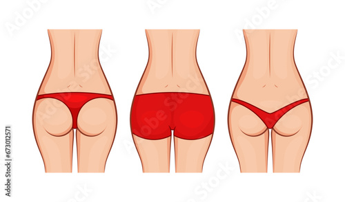 Types of woman panties back view vector isolated on white background.