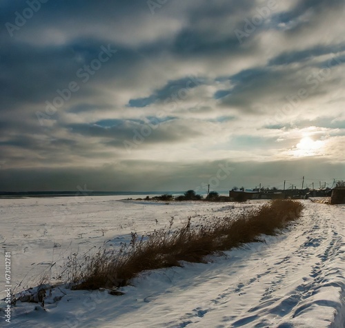 Bright snowy field under winter sun.