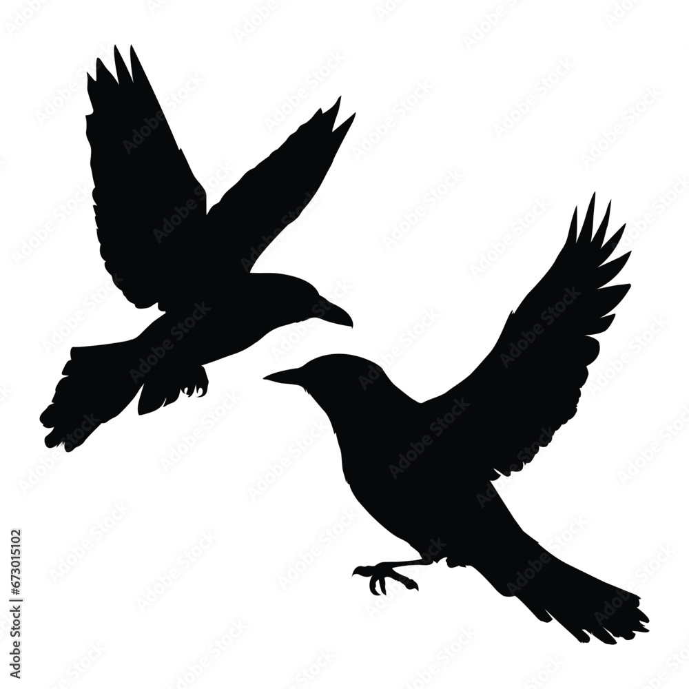Obraz premium Silhouetted Bird in Flight on White Background