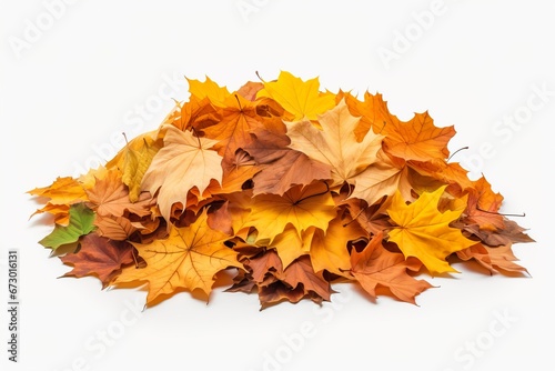  Vibrant Pile of Fall Leaves Isolated on White