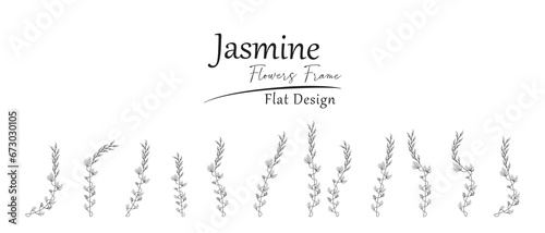 illustration of smooth curved jasmine flowers