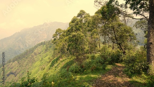 Beautiful dense green lush landscapes of kodaikanal hillstation filled with mist and cloudy sky. photo