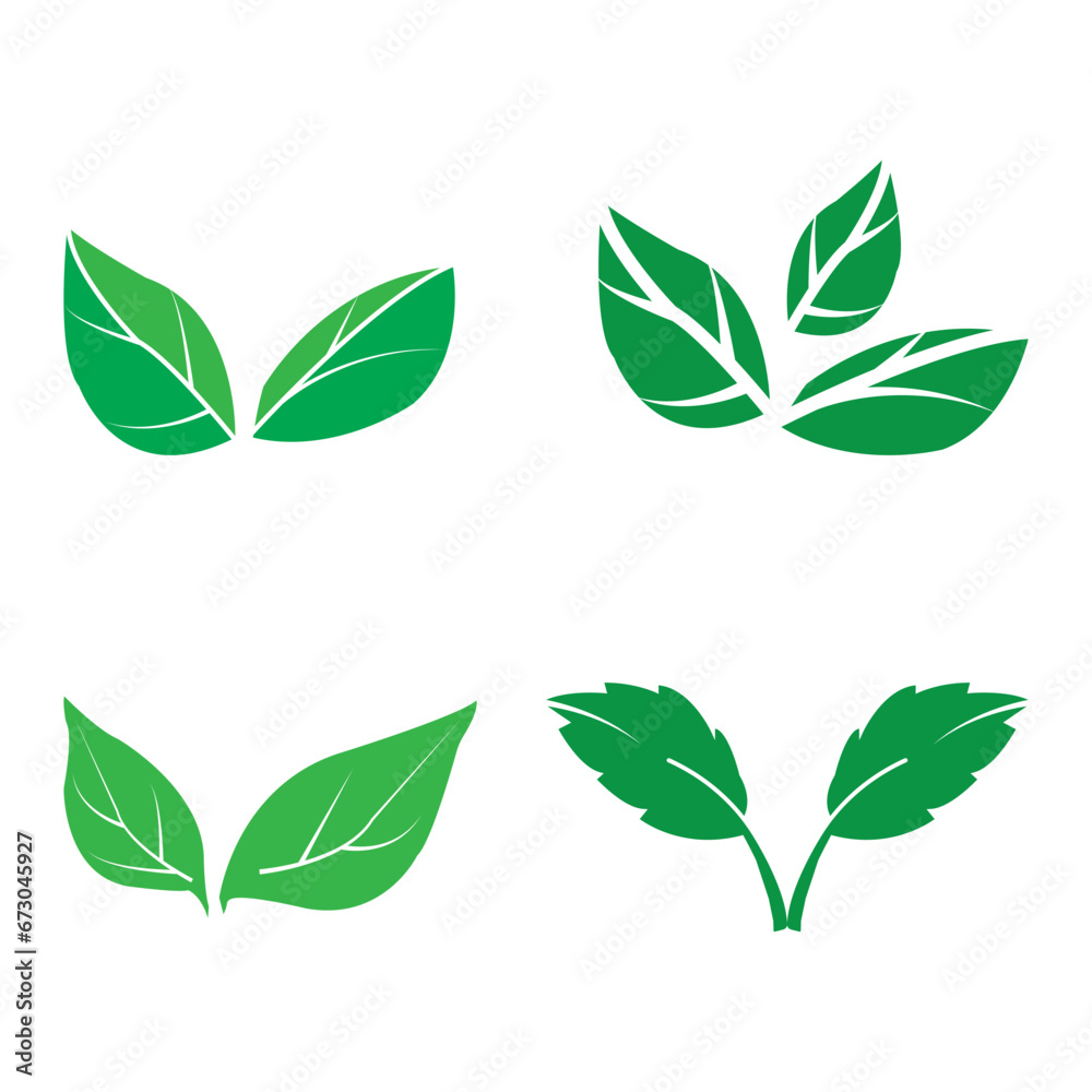 Leaf icon