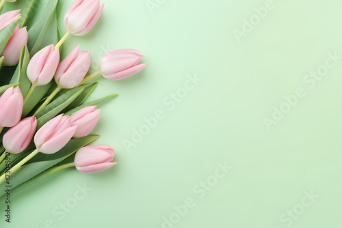 Pink tulip flowers on pastel green background with copy space #673045912