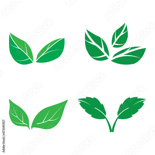 Leaf icon