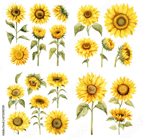 Sunflower Watercolor Set - Bright Floral Illustrations for Artistic Design