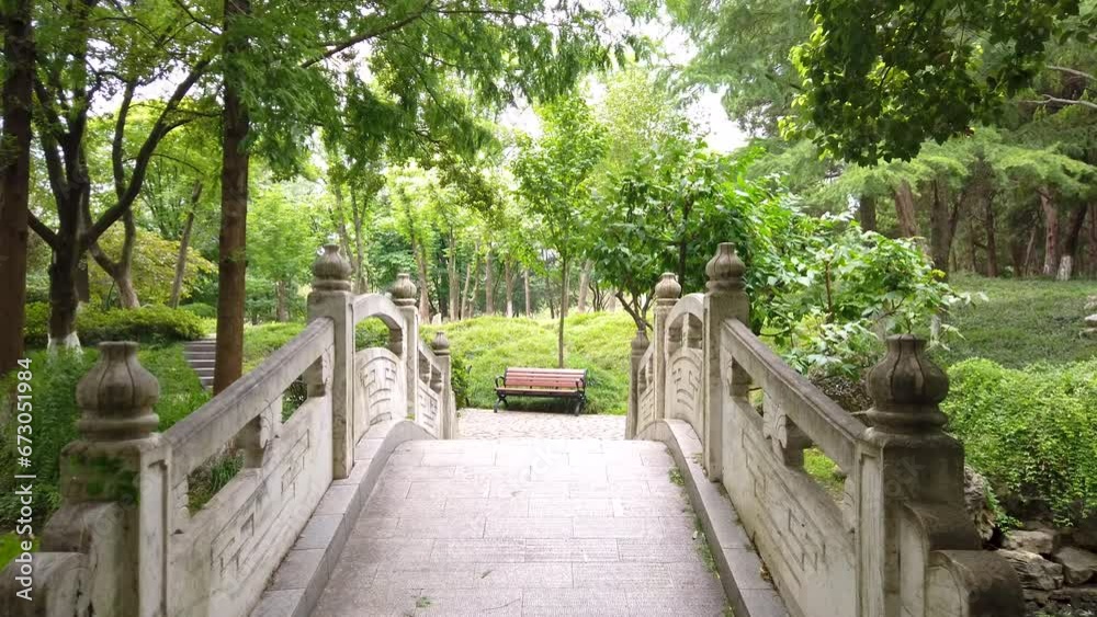 Street View of Plant Growth Environment in 4K Park Street View of Plant Growth Environment in 4K Park