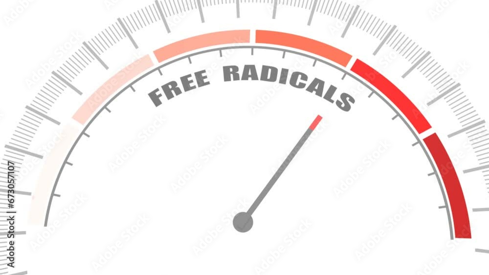 Free radicals value measuring device with arrow and scale. Free radicals cause oxidation of the cellular membrane proteins and lipids, and damage of the cellular components. Free radicals value measuring device with arrow and scale. Free radicals cause oxidation of the cellular membrane proteins and lipids, and damage of the cellular components.
