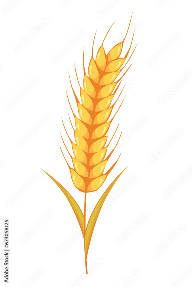 Wheat crop vector visual graphic icons, ideal for bread packaging, beer labels etc. Wheat crop vector visual graphic icons, ideal for bread packaging, beer labels etc.