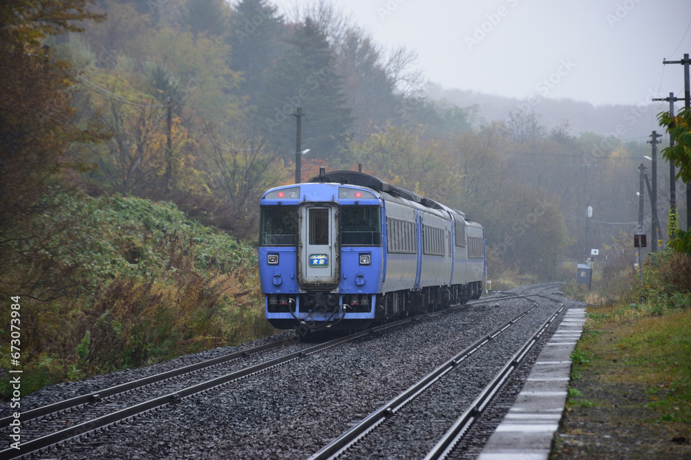 Naklejka premium 183系気動車