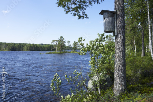 Finnish Karelia is a beautiful country full of forests and lakes.