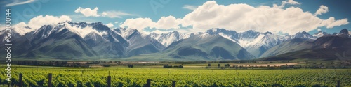 Scenic Andes Mountains and Lush Vineyards of Lujan de Cuyo, Mendoza