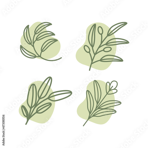 sage plant leaves line style simple minimal feminine set collection logo design vector icon illustration