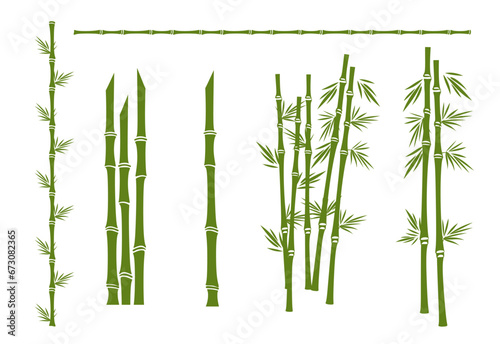 Bamboo flat vector illustration