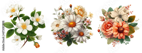 bouquet of flowers isolated on transparent background photo