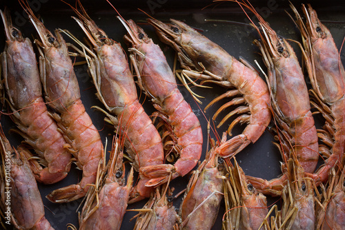 Large langoustine king shrimp on a dark horizontal background.
