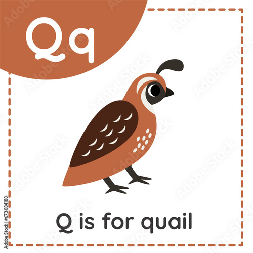 Learning English alphabet for kids. Letter Q. Cute cartoon quail.