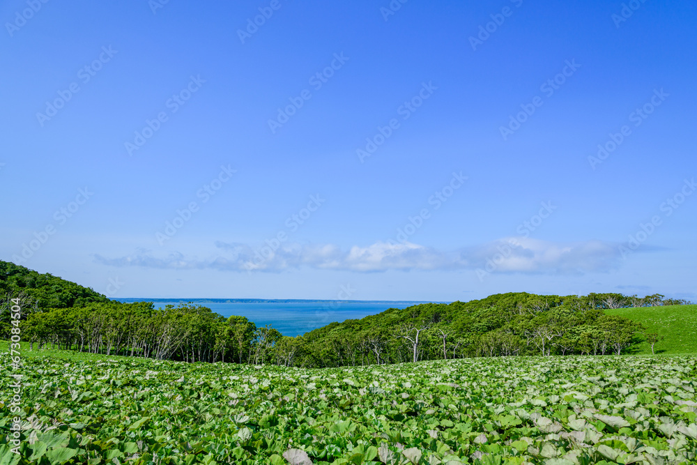 道東の尻羽岬(しれぱみさき)
道東の尻羽岬(しれぱみさき)