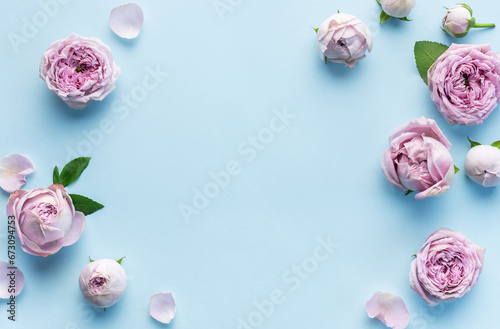 Pink rose flowers on pastel blue background