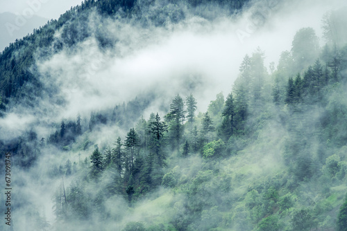 Forested mountain slope with the evergreen conifers shrouded in mist in a scenic landscape view at Himachal Pradesh, India. © anjali04