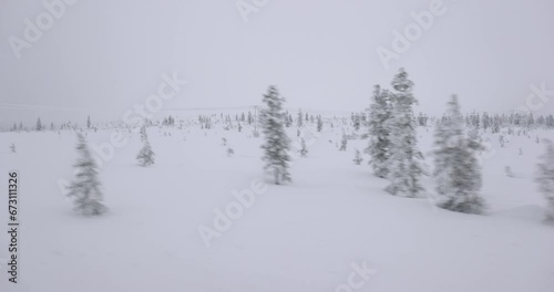 Snowy arctic taiga landscape Finland photo