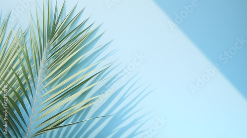 vacation picture with palm tree in front of a fresh blue colored background with copy space