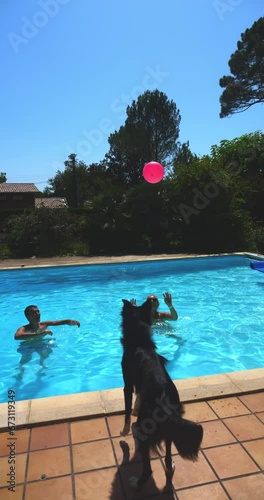 Fun and  amazing game of volleyball between a couple and a Border Collie dog in a pool