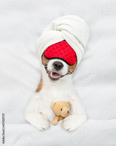 jack russell terrier puppy wearing towel on it head and sleeping mask sleeps with toy bear under white blanket on a bed at home. Top down view