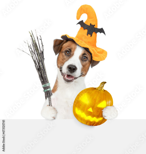 Jack russell terrier puppy wearing hat for halloween holds witches broom stick and pumpkin above empty white banner. isolated on white background photo