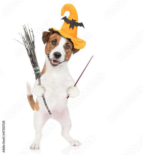 Jack russell terrier puppy wearing hat for halloween holds witches broom stick and points away on empty space. isolated on white background © Ermolaev Alexandr