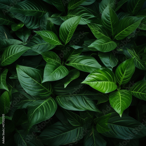 Background with tropical green leaves, atmospheric top view of exotic forest plants. © Didgeridoo