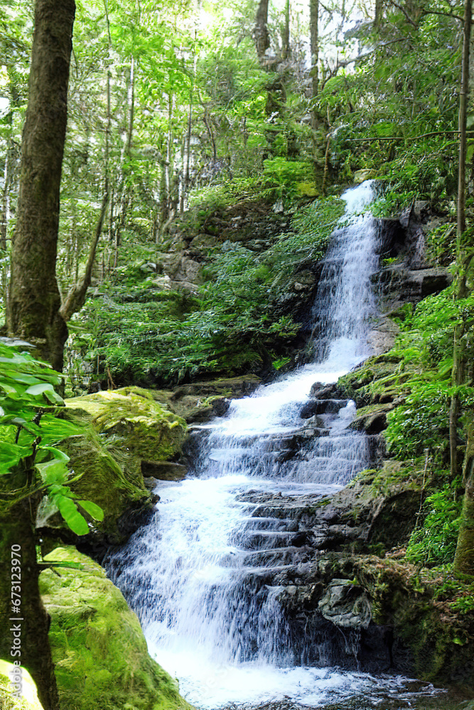 beautiful natural waterfall hidden in the forest, generated by Ai beautiful natural waterfall hidden in the forest, generated by Ai