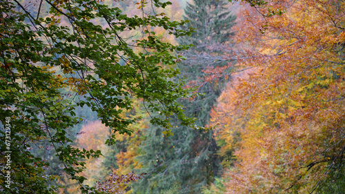 Autumn in the Carpathian mountains