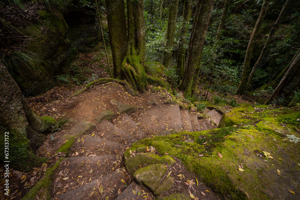 Photos from amazing walk in lovely grand canyon in Blue Moutains, Sydney, Australia.