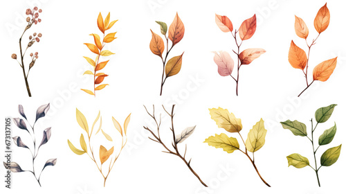 Watercolor set fall branches