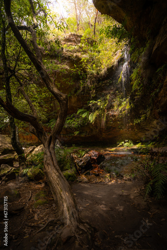 Photos from amazing walk in lovely grand canyon in Blue Moutains, Sydney, Australia. © Tomas