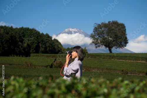 Mt.Fuji and Tea farm in spring at Shizuoka prefecture with cloudy sky