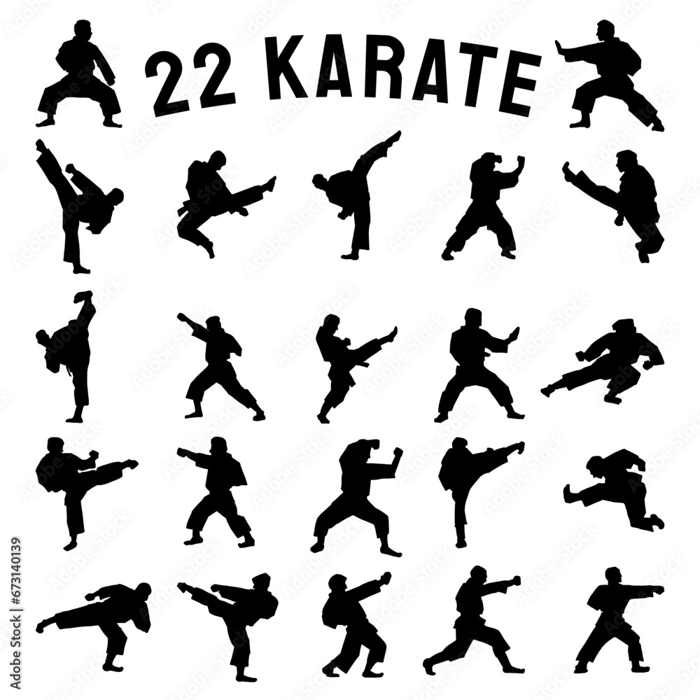 The karate Silhouette for martial arts or sport concept.