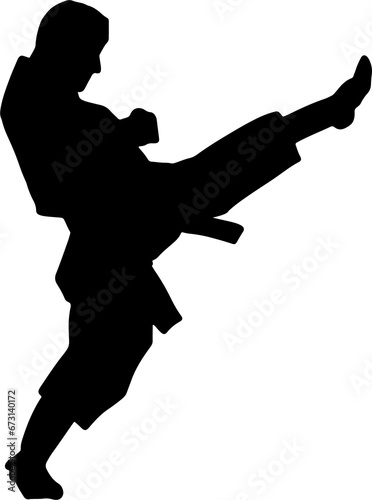 The karate Silhouette for martial arts or sport concept.