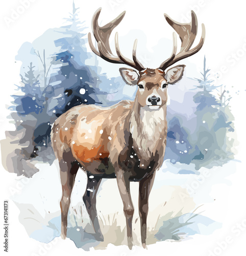 Watercolor stag, buck deer illustration.