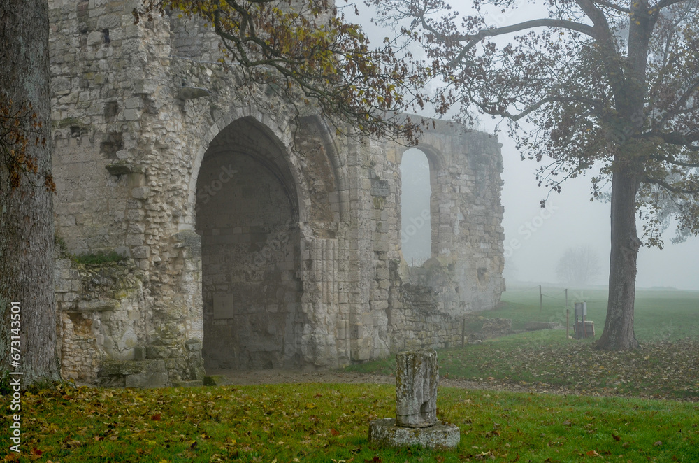 abbaye Saint Pierre de Jumièges, hiver dans la brume, fondée en 654, 76, Jumièges, Normandie, Seine Maritime, France abbaye Saint Pierre de Jumièges, hiver dans la brume, fondée en 654, 76, Jumièges, Normandie, Seine Maritime, France