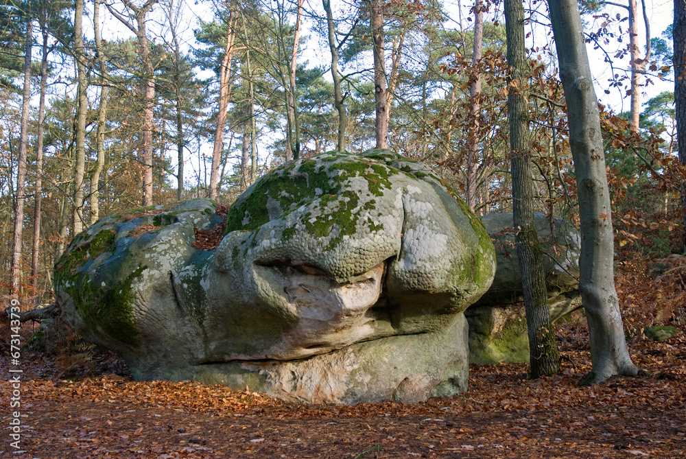 Rocher, Sentier des peintres de Barbizon, Forêt de Fontainebleau, 77, Seine et Marne, France Rocher, Sentier des peintres de Barbizon, Forêt de Fontainebleau, 77, Seine et Marne, France