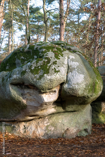 Rocher, Sentier des peintres de Barbizon, Forêt de Fontainebleau, 77, Seine et Marne, France