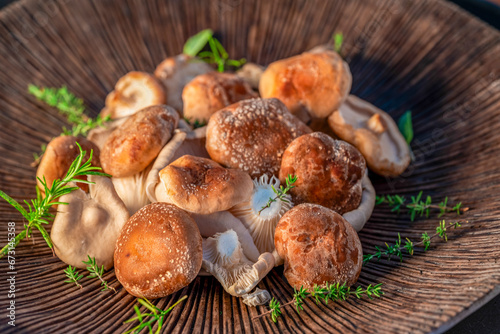 Mix of forest mushrooms on a wooden plate