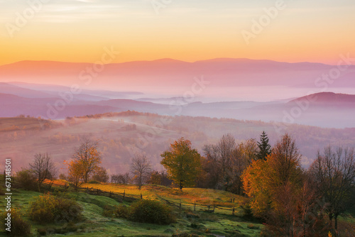 misty autumn sunrise in mountains. scenery with colorful trees on the grassy hills in morning light. rural landscape rolling in to the distant valley full of fog
