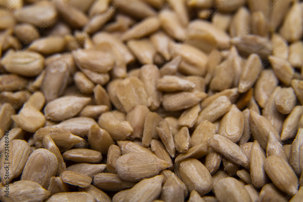 Sunflower seeds Sunflower seeds