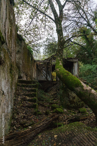 Old abandoned ruin captured by nature in Galicia, Spain